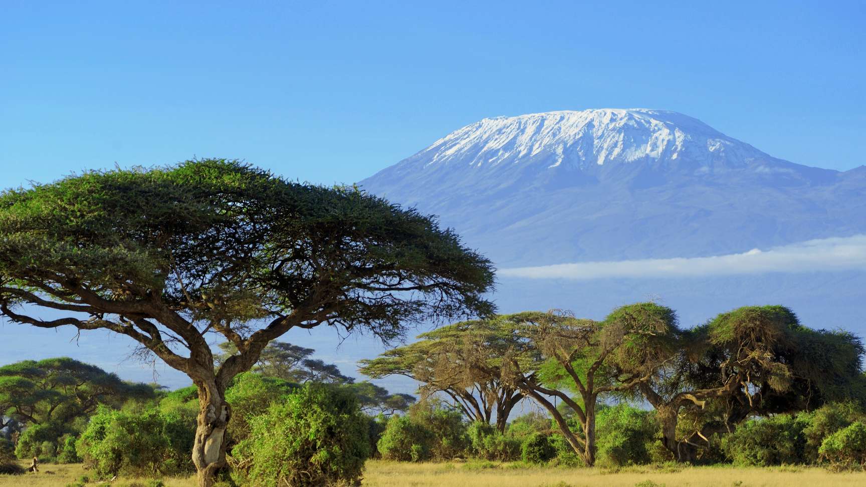 mount kilimanjaro